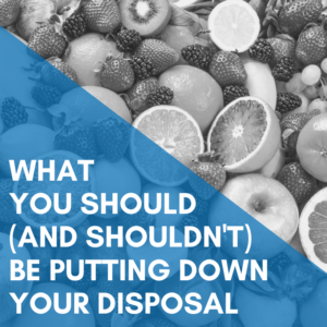 Read more about the article What CAN I Put Down My Garbage Disposal?