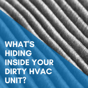 Read more about the article What’s Hiding inside Your Dirty HVAC Unit?