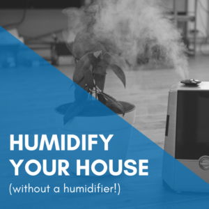Read more about the article How to Humidify Your House without Spending Money on a Humidifier