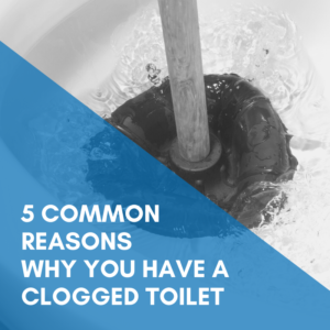 Read more about the article How To Fix A Clogged Toilet
