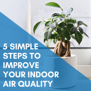 Read more about the article 5 Simple Steps To Improve Your Indoor Air Quality