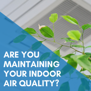 Read more about the article Are You Maintaining Your Indoor Air Quality?
