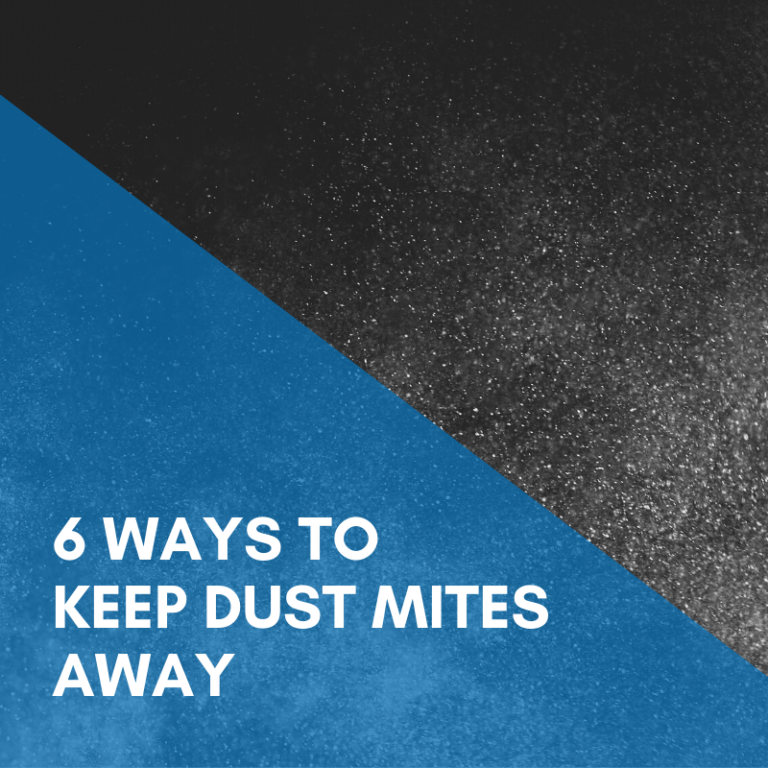 Read more about the article 6 Ways To Keep Dust Mites Away