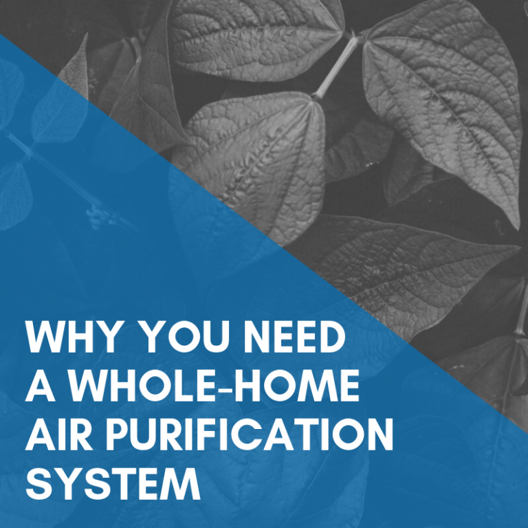 Read more about the article Should You Turn Your HVAC into a Whole-Home Air Purification System?