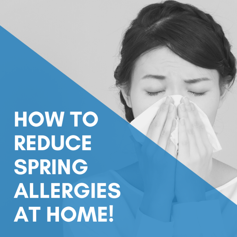 Read more about the article How To Reduce Spring Allergies At Home