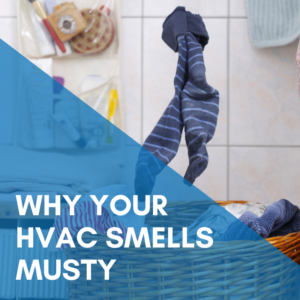 Read more about the article Why Your HVAC Smells Musty
