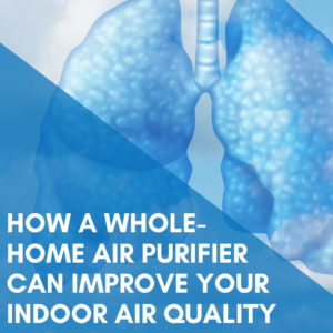 Read more about the article How a Whole-Home Air Purifier can Improve Your Indoor Air Quality ﻿