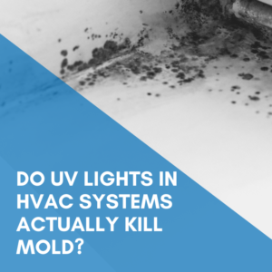 Read more about the article Do UV Lights In HVAC Systems Actually Kill Mold?