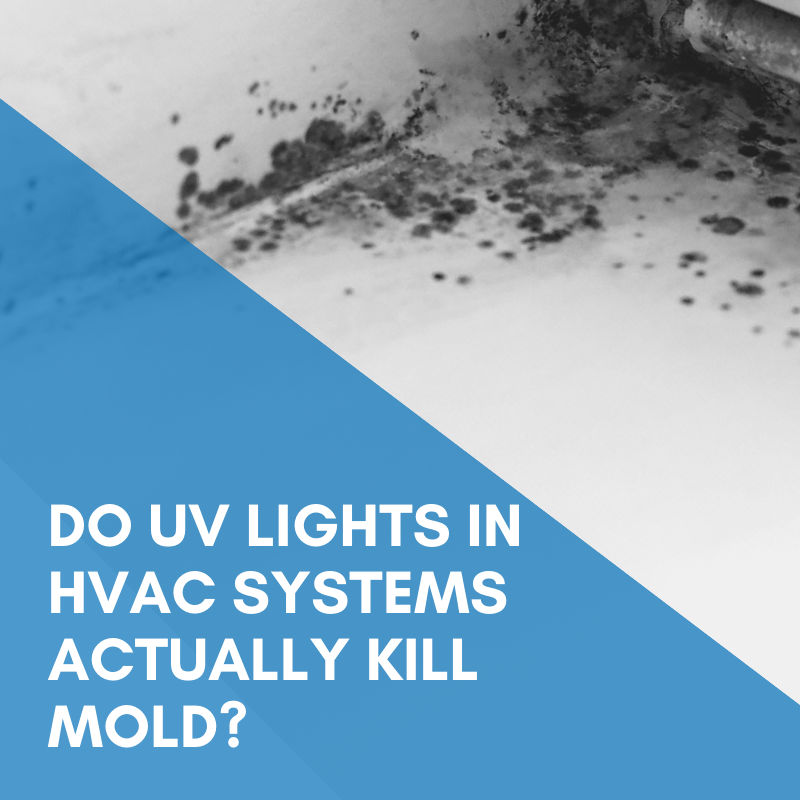 Do UV Lights In HVAC Systems Actually Kill Mold?