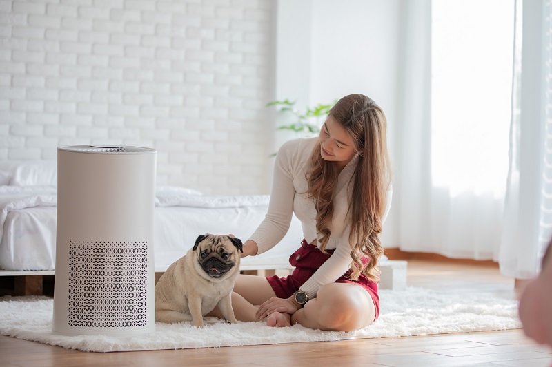Young woman sitting on a rug with her pug next to a modern air purifier in a cosy bedroom
