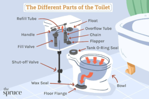 Toilet Parts Diagram