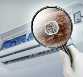 Poor air quality causes respiratory diseases